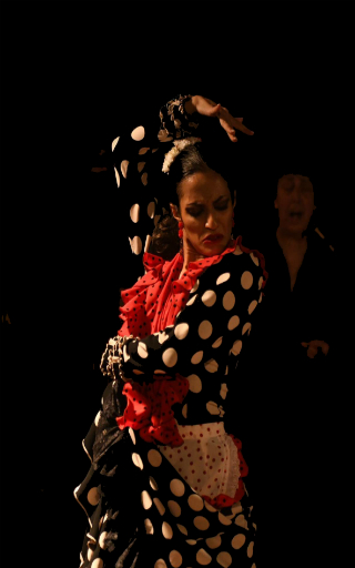 teatro flamenco en altea